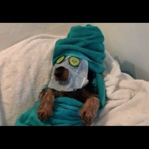 Meet your Posher, Gillian